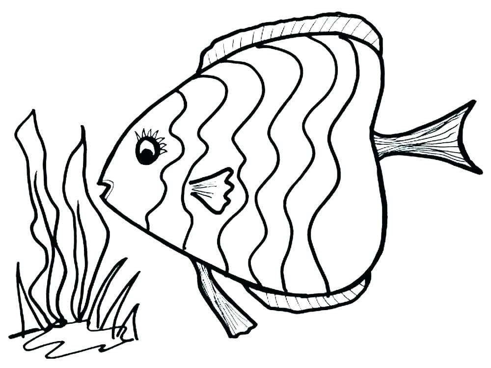 1000x750 Realistic Fish Coloring Pages