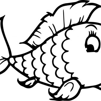 336x336 Betta Fish Cartoon Drawing Easy Simple Angler Puffer Clown Carmi