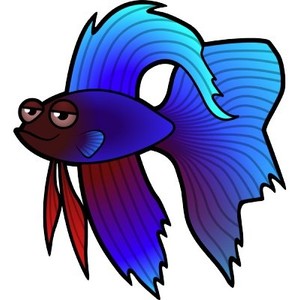 300x300 Betta Fish Clipart
