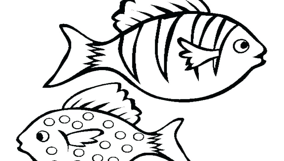 960x544 Betta Fish Coloring Pages Fish Coloring