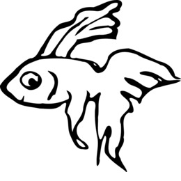 260x260 Download Betta Para Colorear Clipart Siamese Fighting Fish