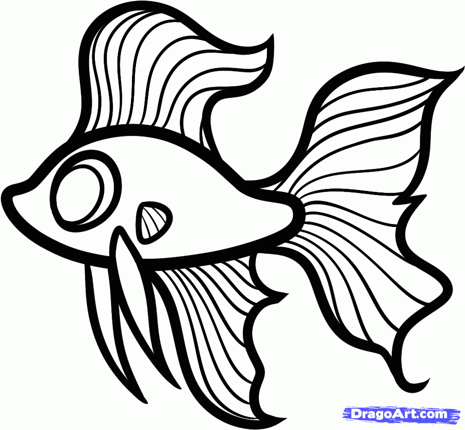 927x858 how to draw a betta for kids betta fish step