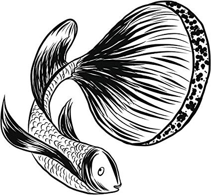 425x391 Pretty Black And White Betta Fish Pen Sketch Drawing