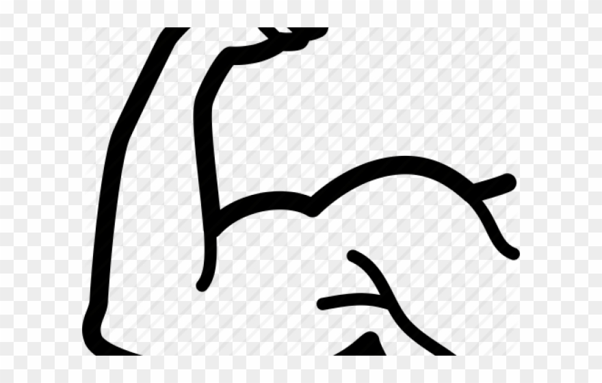 880x560 Bodybuilding Clipart Flex Bicep