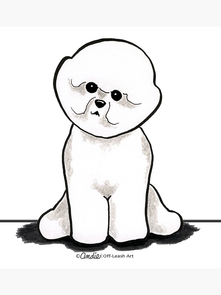 750x1000 bichon frise sit pretty photographic print