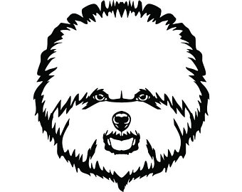 340x270 bichon frise clipart etsy