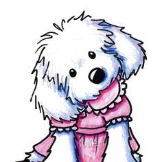 236x236 bichon frise clipart