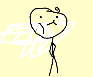 300x250 bichon frise