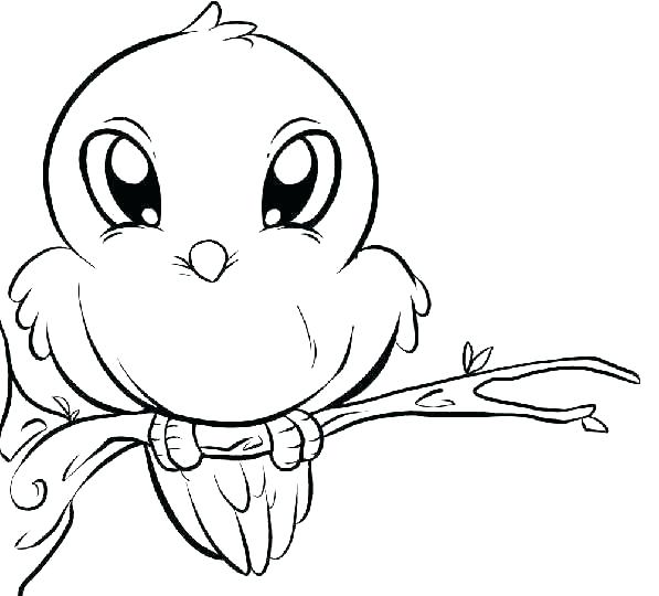 597x540 Elmo And Big Bird Coloring Pages Big Bird Coloring