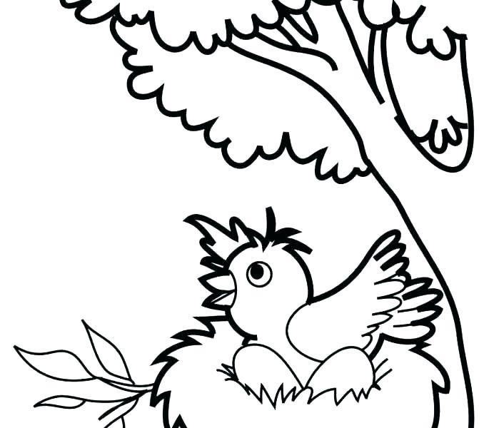 678x600 Big Bird Coloring