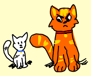 300x250 Big Cat Hates Small Cat