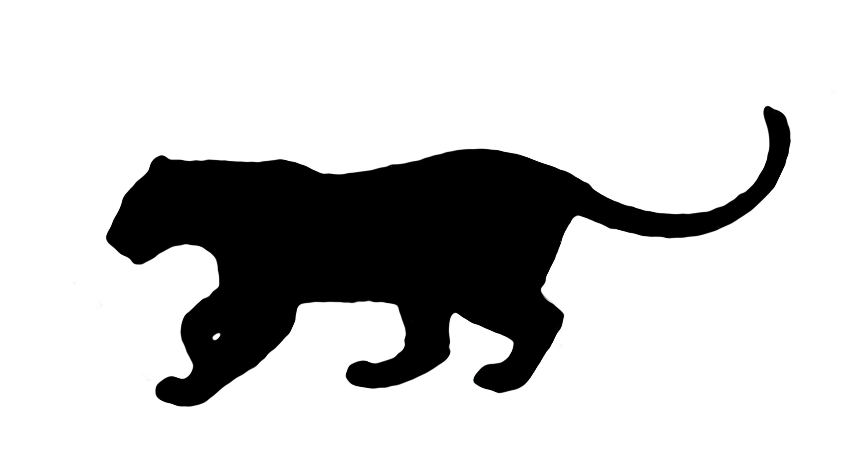 2757x1531 Big Cat Archives