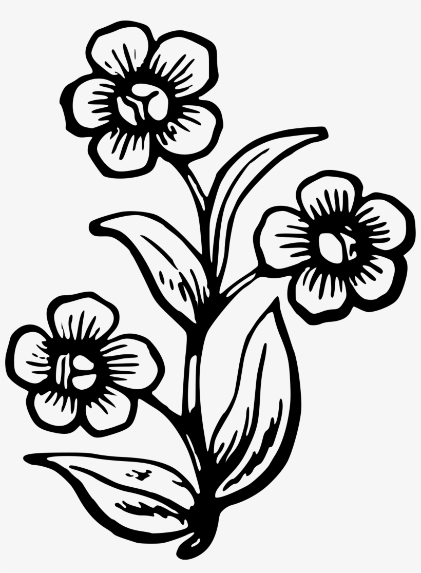 820x1116 How To Draw A Wildflowers