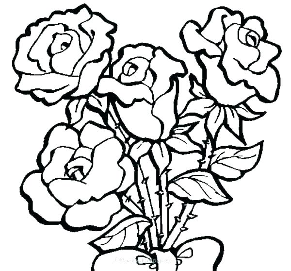 600x558 Big Rose Flower Drawing