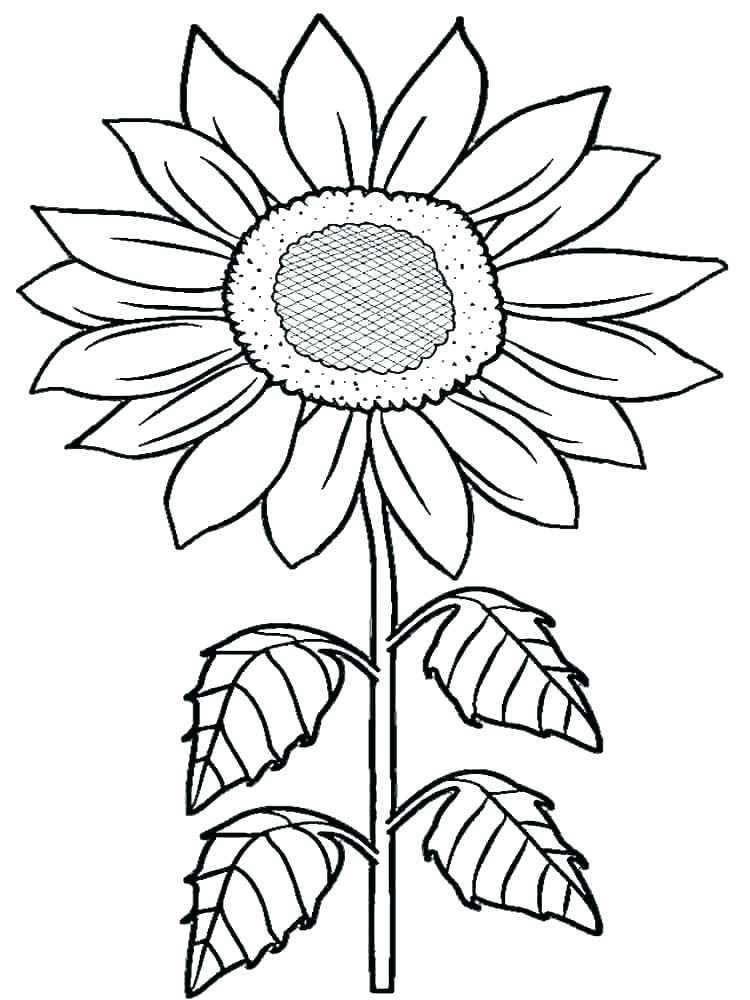 750x1000 Coloring Pages Van Bedroom Coloring Pages Van Also Sunflower