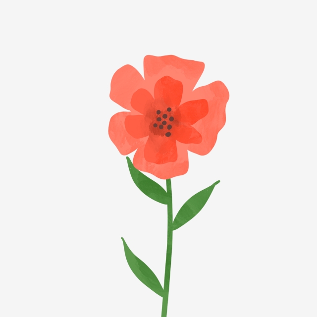 640x640 Hand Drawn Beautiful Big Red Flower, Drawing, Nature, Cute Png