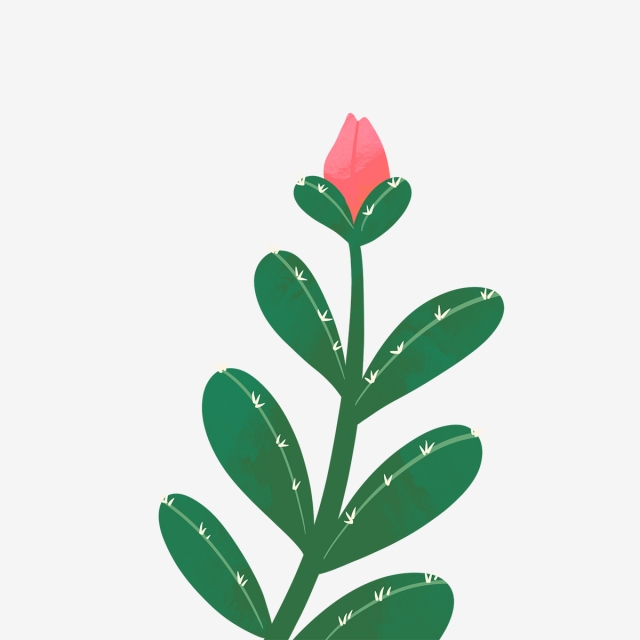 640x640 Hand Drawn Cute Big Cactus With Flower, Drawing, Flower, Nature