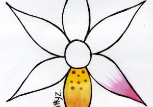 300x210 How To Make Flower Drawing Big Flowers Drawing At Getdrawings
