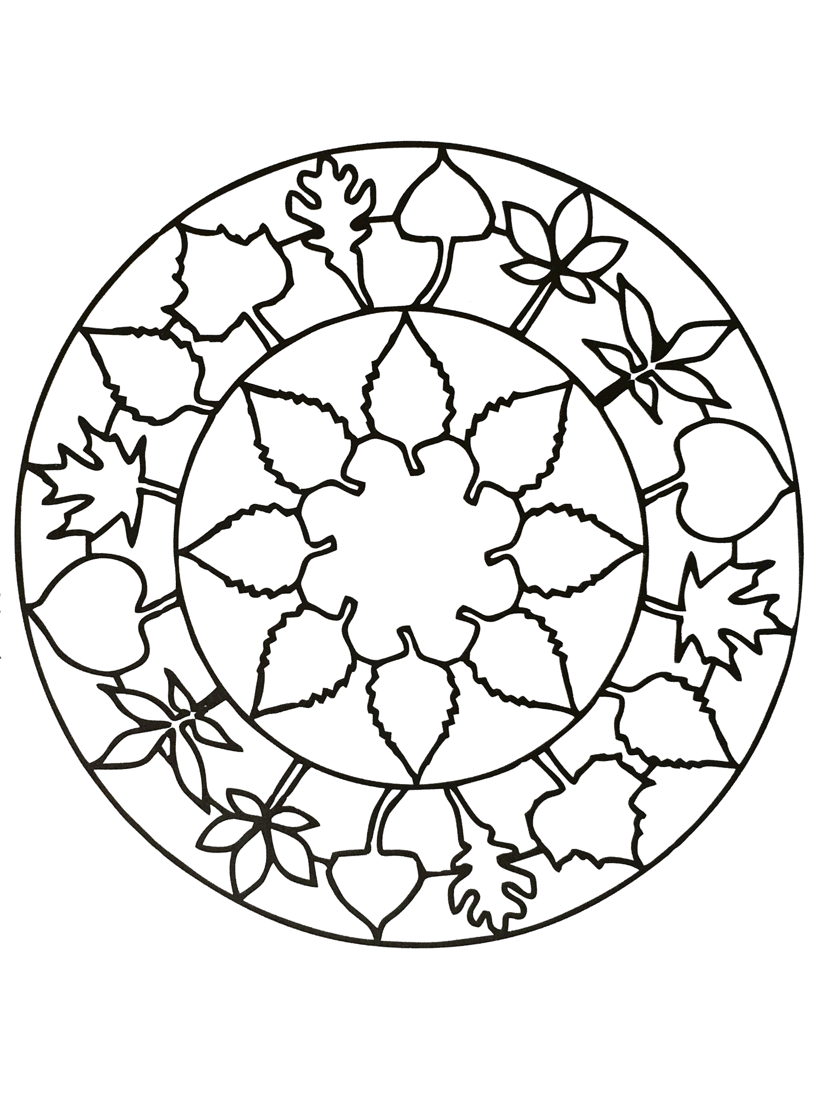1583x2159 Simple Mandala With Cute Leaves