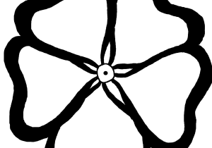 300x210 Big Flower Drawing Photos How To Draw A Big Flower