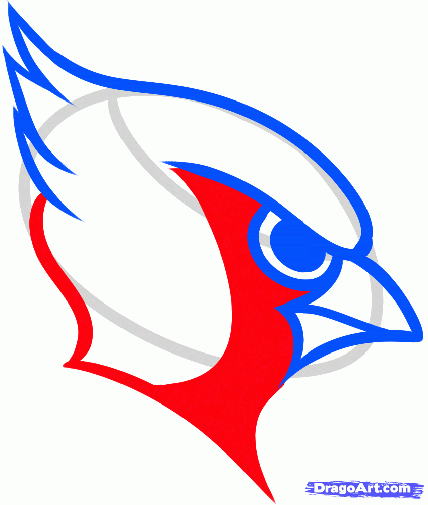 849x1000 How To Draw The Arizona Cardinals, Big Red, Step