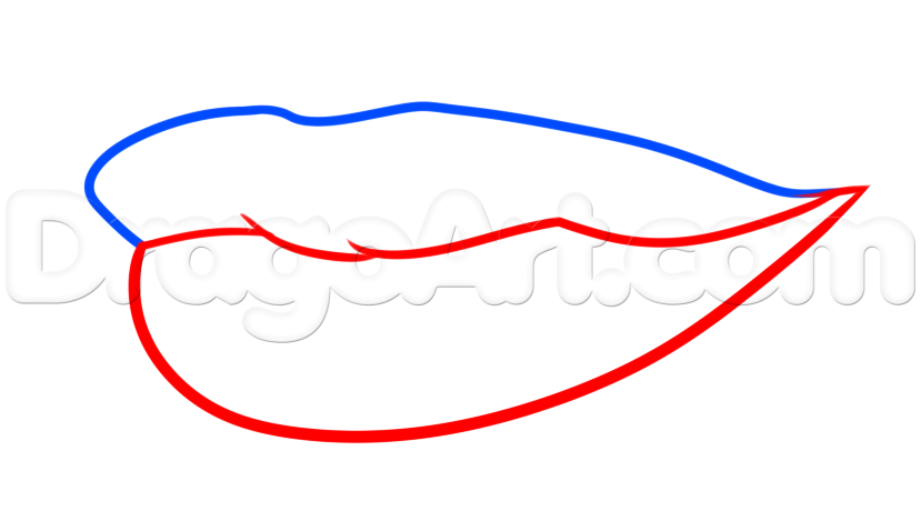 829x478 Draw Big Lips, Step
