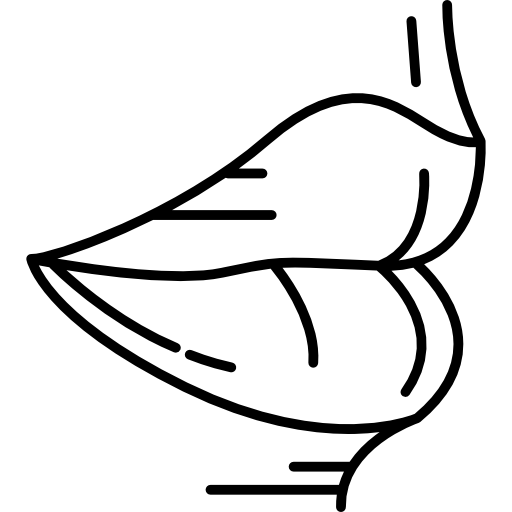 512x512 Big Lips Icons Free Download