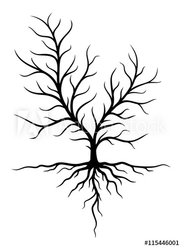 368x500 Big Tree With Roots