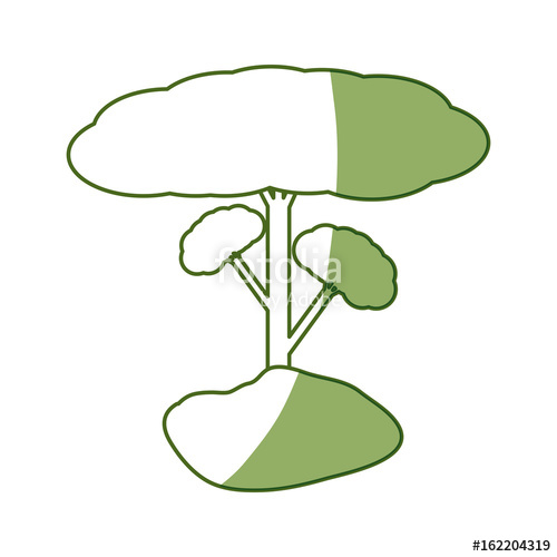 500x500 Isolated Big Tree Icon Vector Illustration Graphic Design Stock