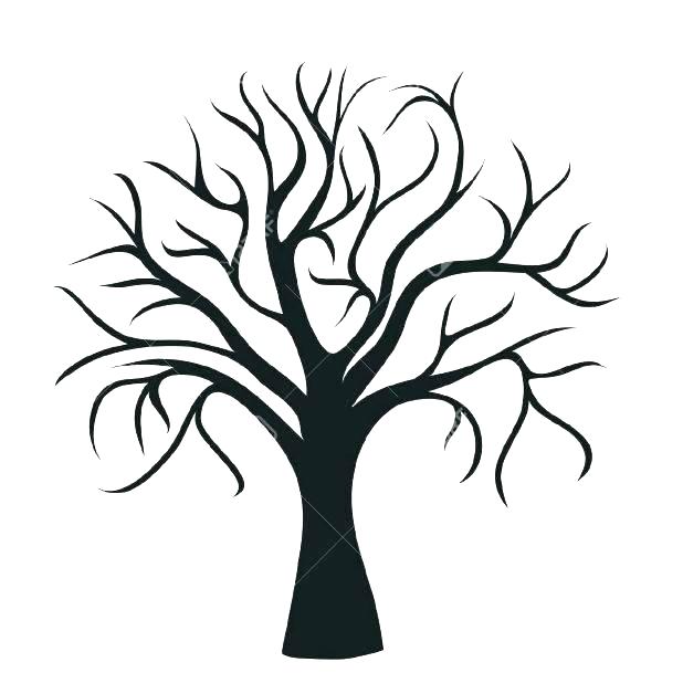 Big Tree Drawing | Free download on ClipArtMag