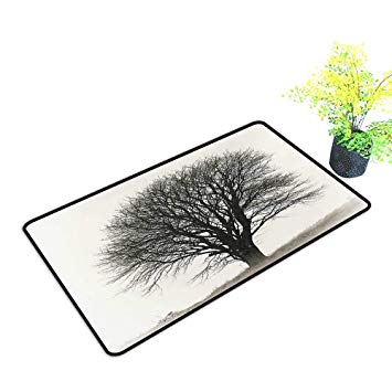 355x355 gmnalahome large door mats shoes scraper photo