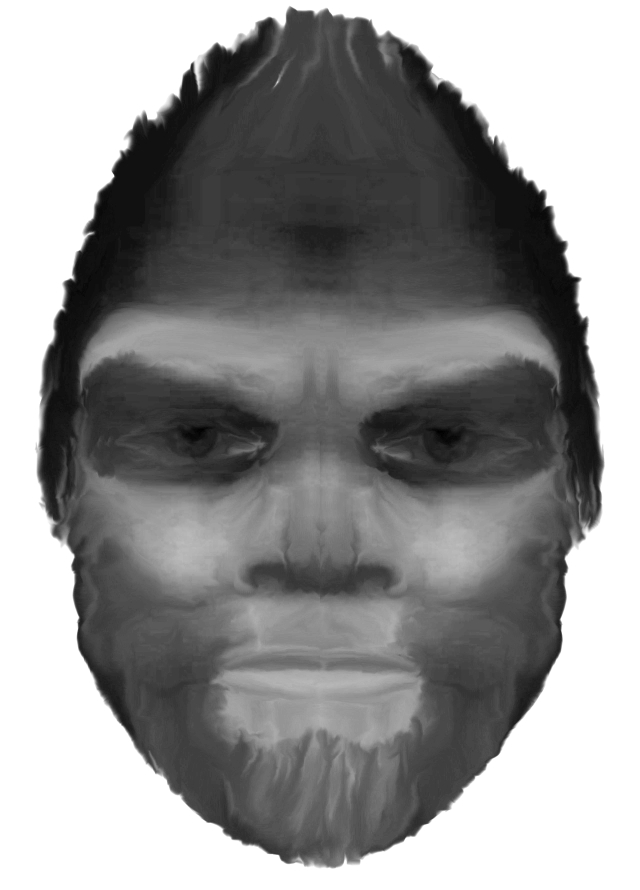 640x890 the bigfoot field journal we have met the bigfoot