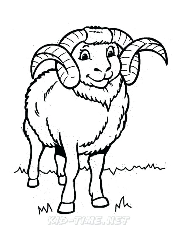 612x792 Coloring Pages Coloring Book Pictures Of Sheep Drawing Paper