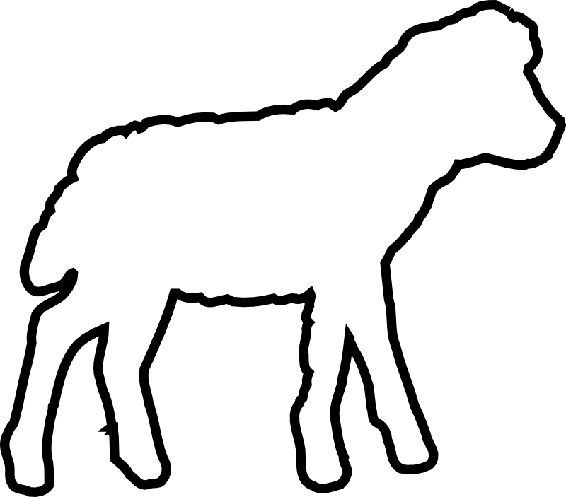 800x703 Drawing Sheep Transparent Png Clipart Free Download