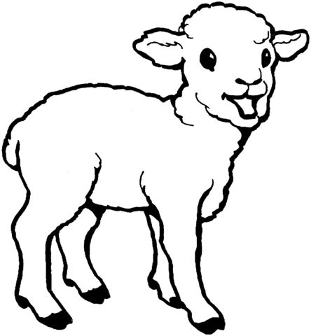 444x480 How To Draw A Sheep For Kids Byrds Sheep Drawing, Drawings