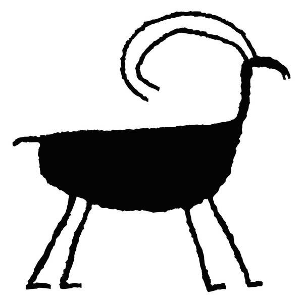 600x600 Bighorn Sheep