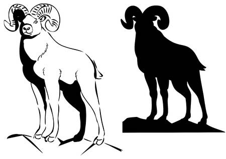 450x318 Bighorn Sheep Clipart