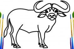 236x157 Buffalo Drawing Clipart Pic