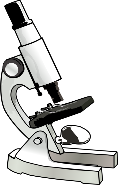 481x750 Collection Of Free Abiogeny Clipart Biology Microscope Download