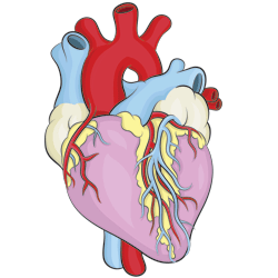 250x250 How To Draw A Heart Patterns