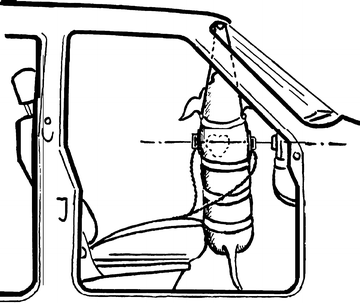 360x303 Experimental Injury Biomechanics Of The Pediatric Thorax
