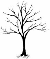 171x200 impression obsession birch tree die cards to make