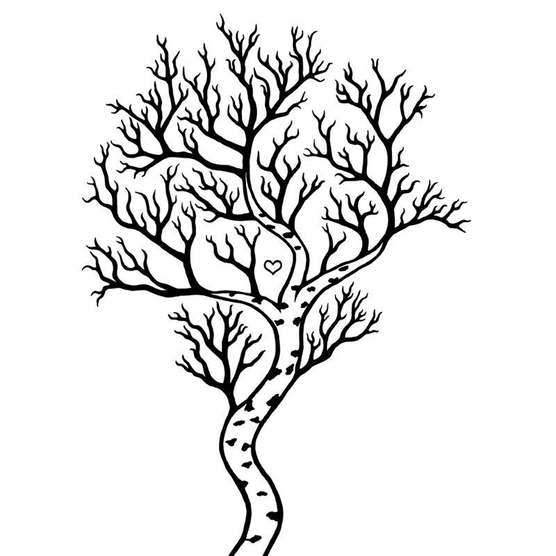 800x800 Modern Birch Kurbits Design Trees