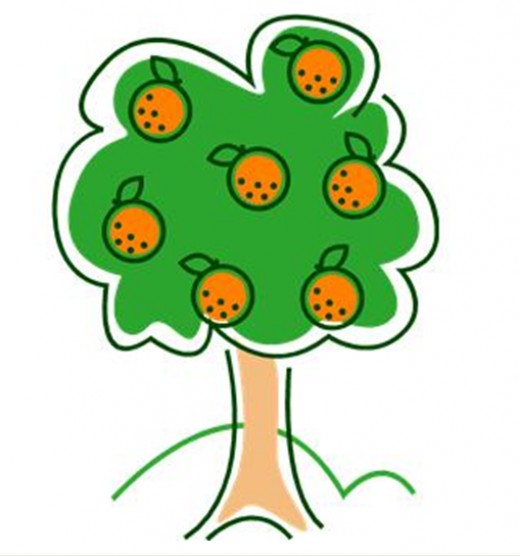 520x556 Clipart Orange Tree
