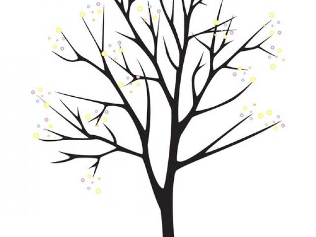 640x480 Dead Tree Clipart Birch