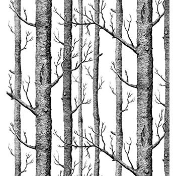 350x350 Modern Minimalist Birch Tree Pattern Waterproof Wallpaper Wall