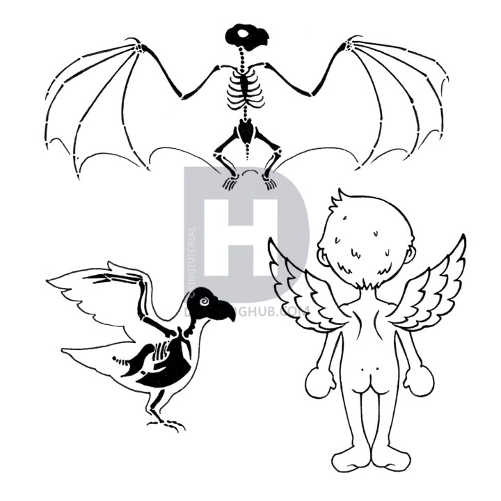 720x720 How To Draw Wings, Step