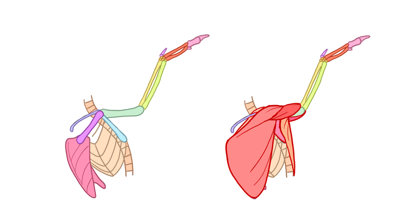 850x446 How To Draw Angel Wings