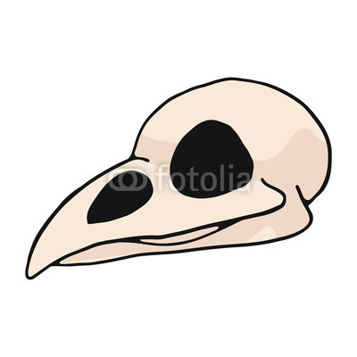 400x400 Bird Skull Cartoon Vector Illustration Motif Set Hand Drawn