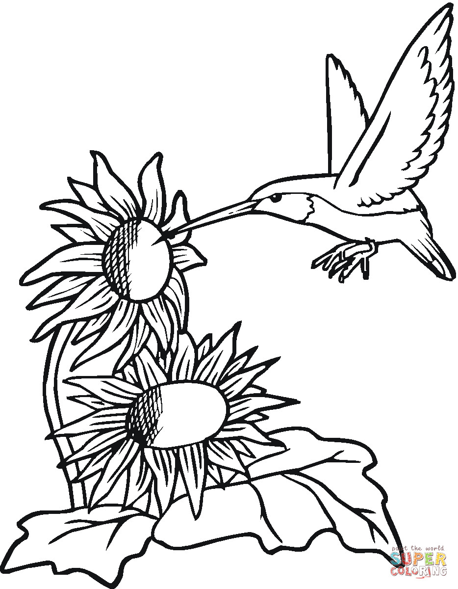 934x1200 Drawings Of Hummingbirds And Flowers Hummingbird Flying Around